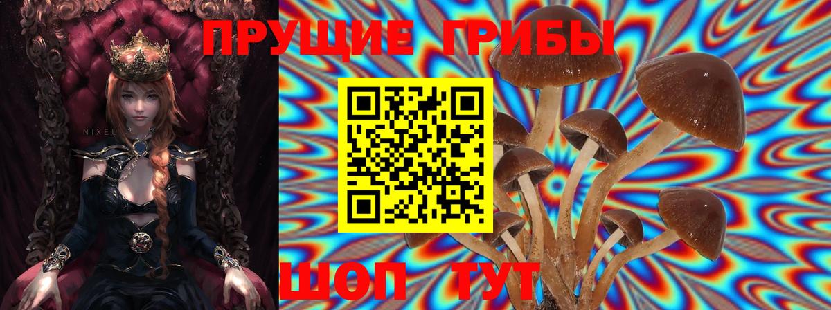 Галлюциногенные грибы Magic Shrooms Губаха