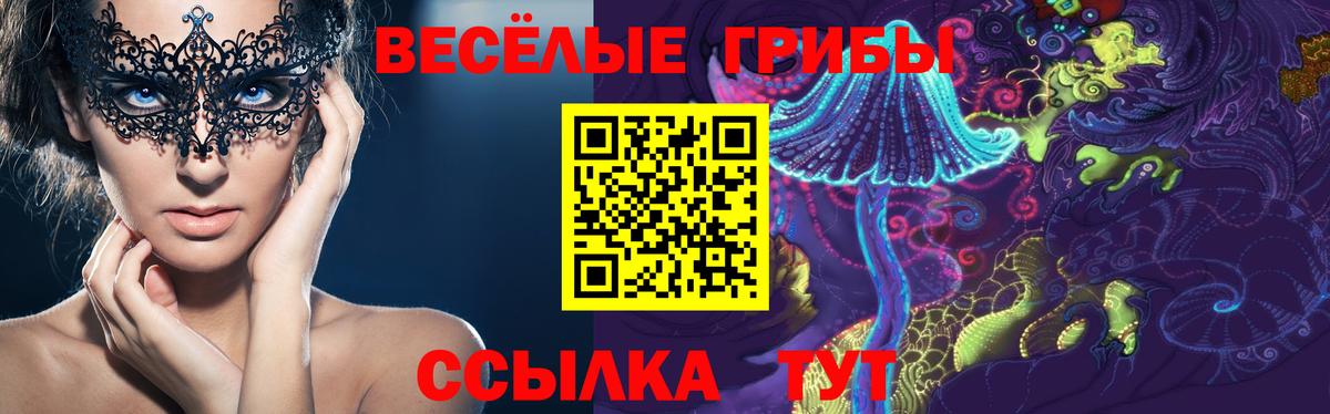 Галлюциногенные грибы Psilocybine cubensis  Вход с VPN  купить наркотик  Губаха 