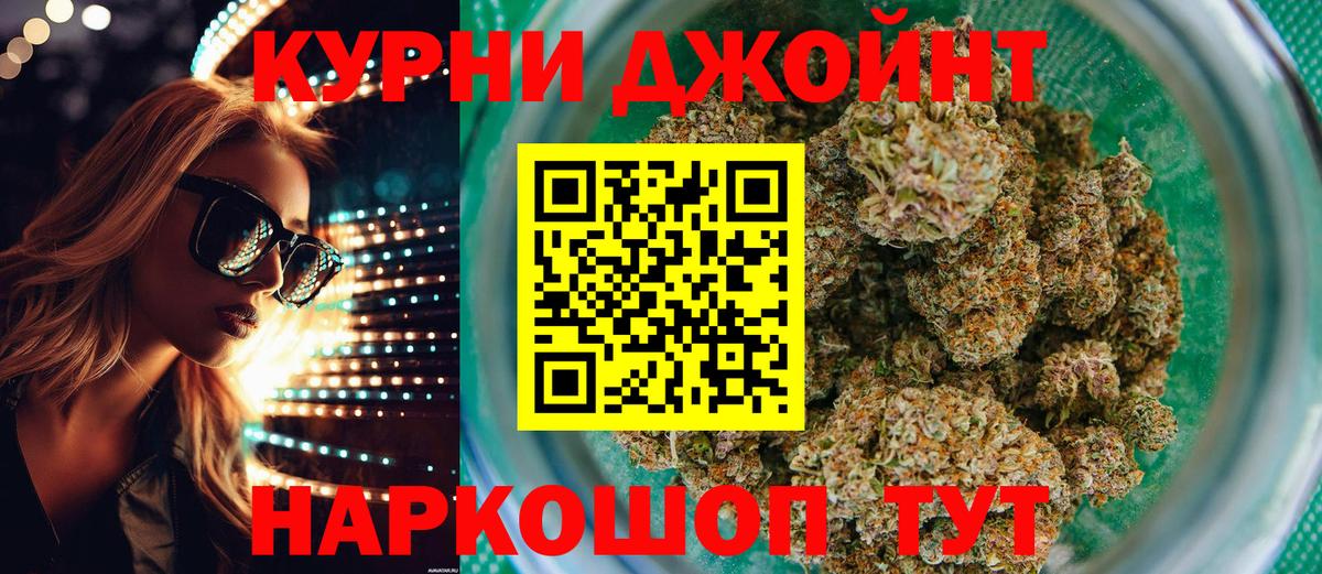 Бошки Шишки индика Губаха